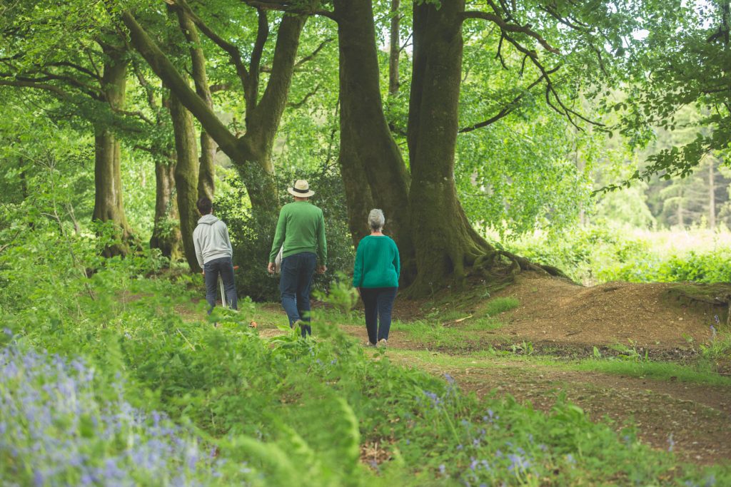 Forest Walks family