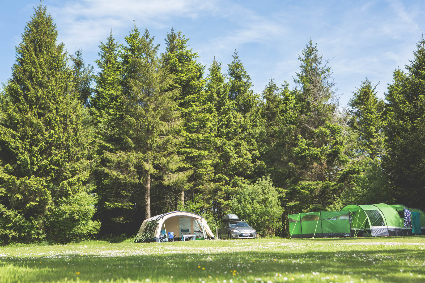 Forest Glade Camping - Christmas Tree Field