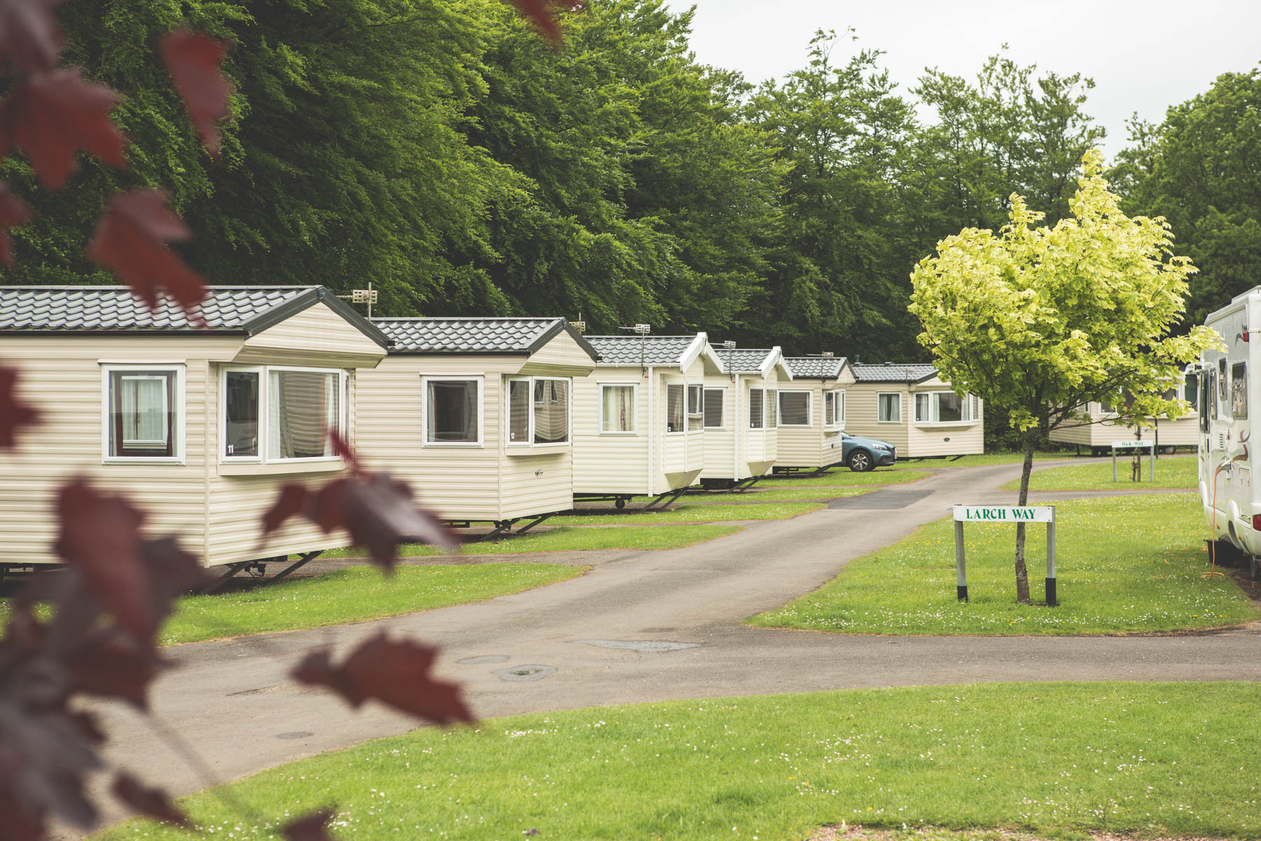 Holiday Caravans at Forest Glade