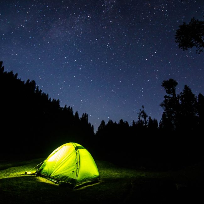 Stargazing in Devon | Forest Glade Holiday Park