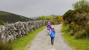 Dartmoor Walks- Things to do