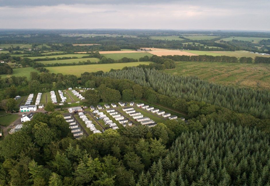 caravans holiday home tents at Forest Glade