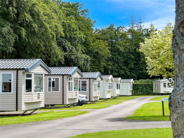 holiday home caravan tents camping at Forest Glade