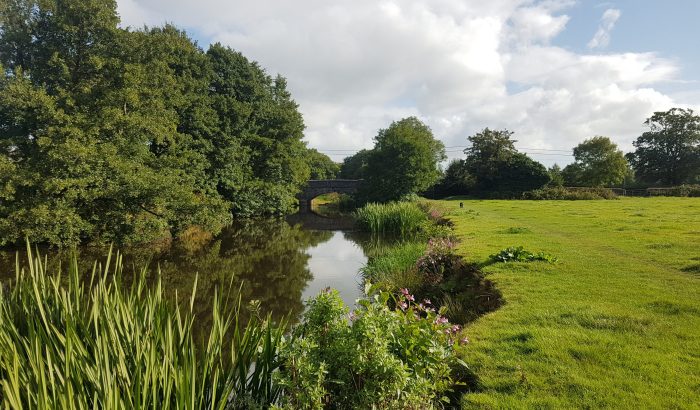 the river culm at Forest Glade