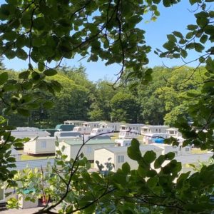 forest glade holiday park in devon