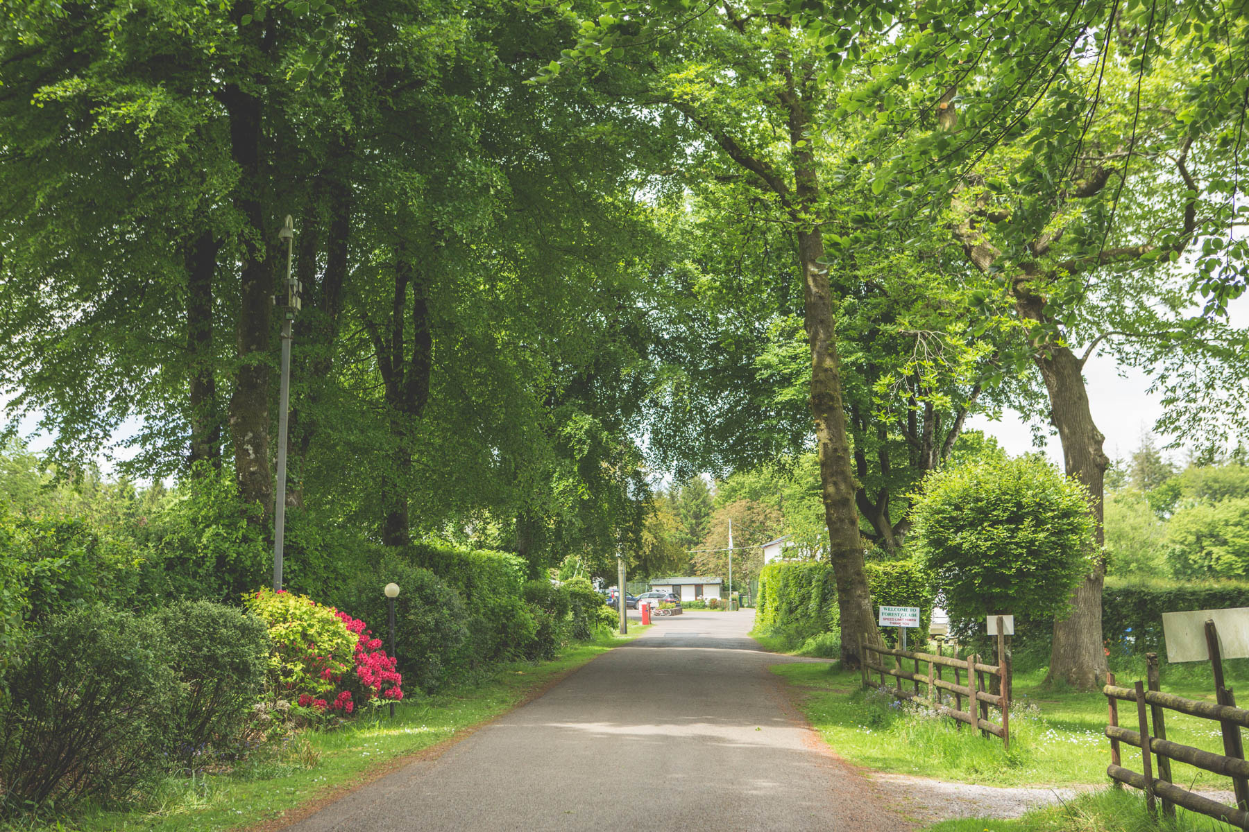 holiday park in mid devon