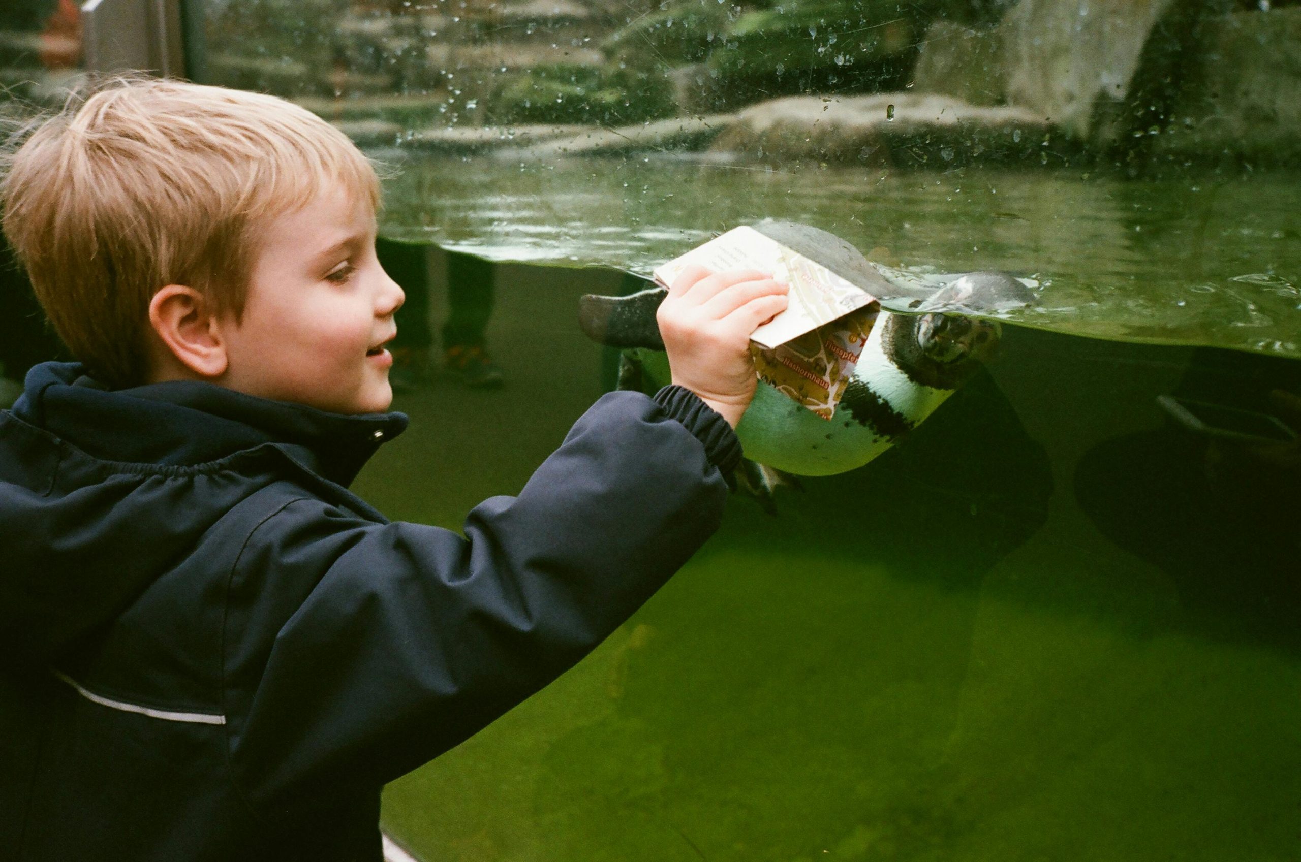 lyme regis marine aquarium