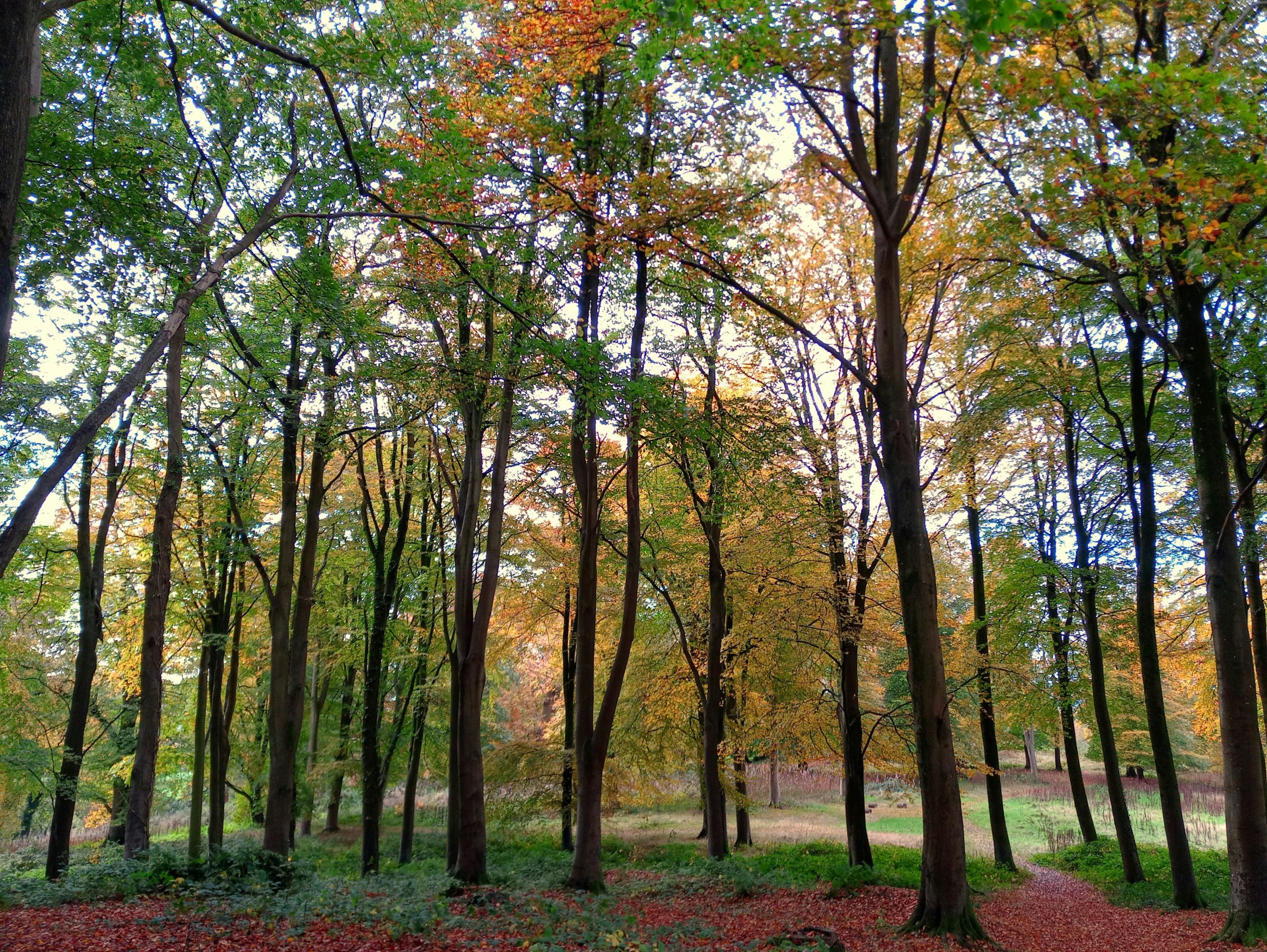 top national trust properties in devon